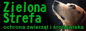 ZIELONA STREFA - ochrona zwierząt i środowiska"