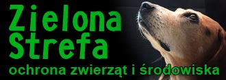 ZIELONA STREFA - ochrona zwierząt i środowiska"
