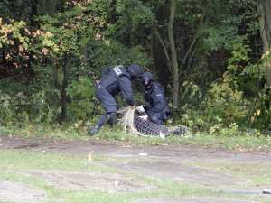 Ćwiczenia policjantów w czasie KOBRY 2019