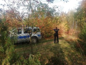 Policjanci podczas poszukiwań w lesie za zaginioną osobą