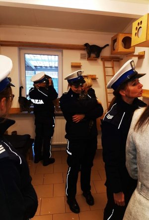 policjantki bawiące się z bezdomnymi kotami