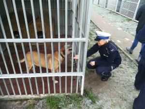 policjantka głaszcząca psa