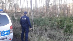 Policjanci podczas kontroli terenów leśnych