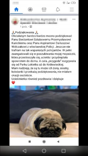 podziękowania od właścicielki zagubionego psa