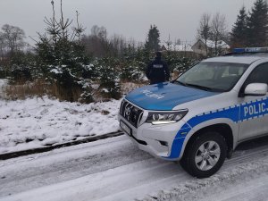 Policjant podczas kontroli terenów leśnych zgodnie z treścią komunikatu.