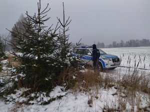 Policjant podczas kontroli terenów leśnych zgodnie z treścią komunikatu.