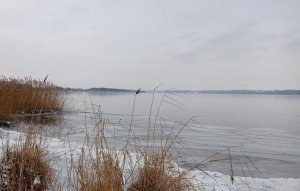 Służby kontrolują jeziora zgodnie z treścią komunikatu