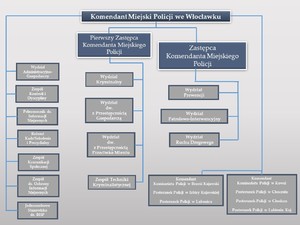 Komendant Miejski Policji we Włocławku 
 
 
Sprawuje nadzór nad pracą swoich zastępców oraz nadzoruje bezpośrednio następujące komórki organizacyjne Komendy Miejskiej Policji we Włocławku:
 
•	Zespół Kontroli i Dyscyplinarny
•	Referat Kadr, Szkolenia i Prezydialny
•	Pełnomocnik  do spraw Informacji Niejawnych 
`      Zespół Komunikacji Społecznej
•	Wydział Administracyjno-Gospodarczy
•	Jednoosobowe Stanowisko do spraw Bezpieczeństwa i Higieny Pracy
•	Zespół do spraw Ochrony Informacji Niejawnych
•	Komisariaty Policji w Brześciu Kujawskim i Kowalu


Pierwszy Zastępca Komendanta Miejskiego Policji we Włocławku 
 
  
Nadzoruje bezpośrednio następujące komórki organizacyjne Komendy Miejskie Policji:
 
•	Wydział Prewencji
•	Wydział Patrolowo-Interwencyjny
•	Wydział Ruchu Drogowego

Zastępca Komendanta Miejskiego Policji we Włocławku 
 
Nadzoruje bezpośrednio następujące komórki organizacyjne Komendy Miejskiej Policji:
 
•	Wydział Kryminalny
•	Wydział do walki z Przestępczością Przeciwko Mieniu
•	Wydział do walki z Przestępczością Gospodarczą
•	Zespół Techniki Kryminalistycznej