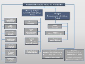 Komendant Miejski Policji we Włocławku 
 
 
Sprawuje nadzór nad pracą swoich zastępców oraz nadzoruje bezpośrednio następujące komórki organizacyjne Komendy Miejskiej Policji we Włocławku:
 
•	Zespół Kontroli i Dyscyplinarny
•	Referat Kadr, Szkolenia i Prezydialny
•	Pełnomocnik  do spraw Informacji Niejawnych 
`      Zespół Komunikacji Społecznej
•	Wydział Administracyjno-Gospodarczy
•	Jednoosobowe Stanowisko do spraw Bezpieczeństwa i Higieny Pracy
•	Zespół do spraw Ochrony Informacji Niejawnych
•	Komisariaty Policji w Brześciu Kujawskim i Kowalu


Pierwszy Zastępca Komendanta Miejskiego Policji we Włocławku 
 
  
Nadzoruje bezpośrednio następujące komórki organizacyjne Komendy Miejskie Policji:
 
•	Wydział Prewencji
•	Wydział Patrolowo-Interwencyjny
•	Wydział Ruchu Drogowego

Zastępca Komendanta Miejskiego Policji we Włocławku 
 
Nadzoruje bezpośrednio następujące komórki organizacyjne Komendy Miejskiej Policji:
 
•	Wydział Kryminalny
•	Wydział do walki z Przestępczością Przeciwko Mieniu
•	Wydział do walki z Przestępczością Ekonomiczną
•	Zespół Techniki Kryminalistycznej