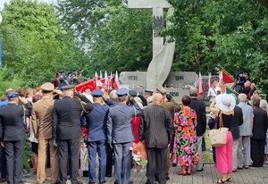 Słuzby mundurowe podczas uroczystości pod pomnikiem