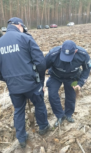 Policjanci podczas akcji sadzenia drzewek