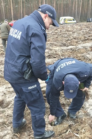 Policjanci podczas akcji sadzenia drzewek