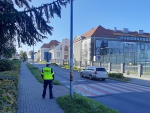 Policjanci podczas działań na drodze