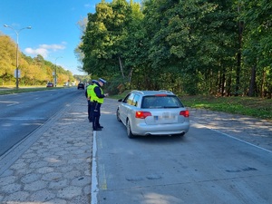 Policjanci podczas działań na drodze