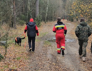 Służby podczas ćwiczeń na terenie leśnym i przywodnym