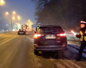 Policjanci podczas działań na drodze