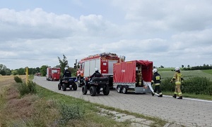 Ćwiczenia służb